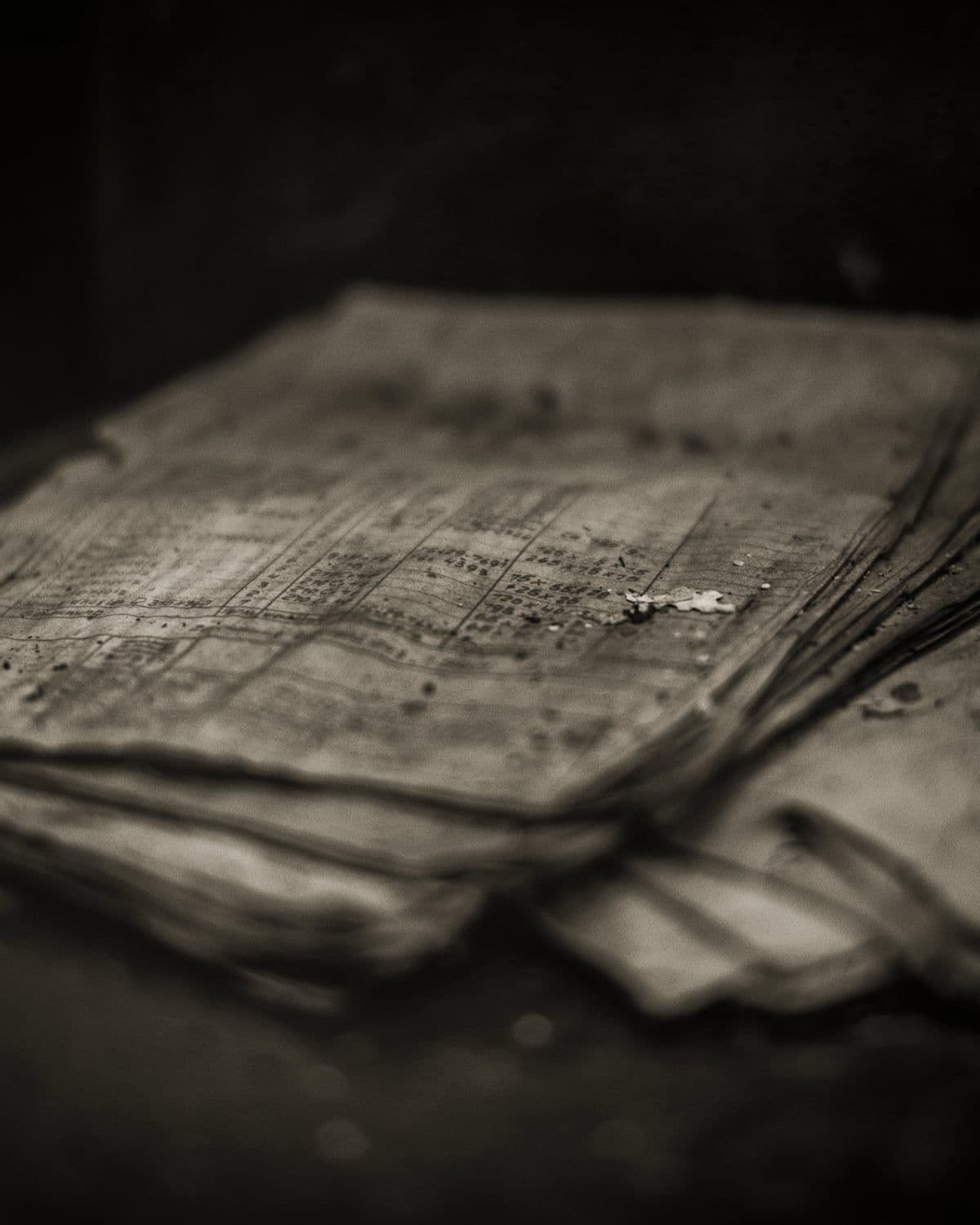A sheaf of aged ledger leaves in low, warm light